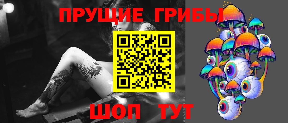 Кашира  Галлюциногенные грибы MAGIC MUSHROOMS  Вход с VPN  купить   Галлюциногенные грибы MAGIC MUSHROOMS 