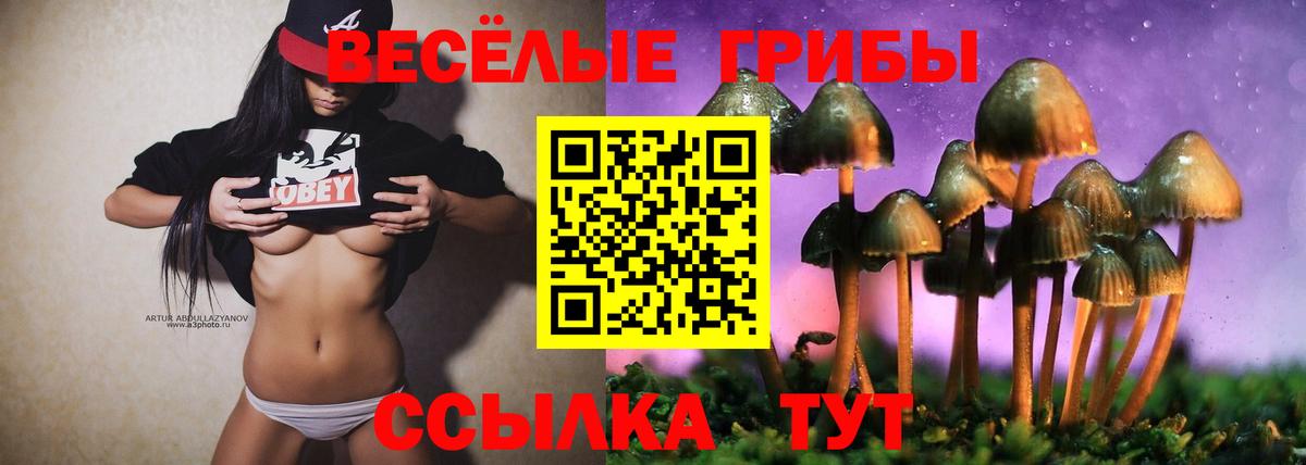 Псилоцибиновые грибы мицелий Кашира